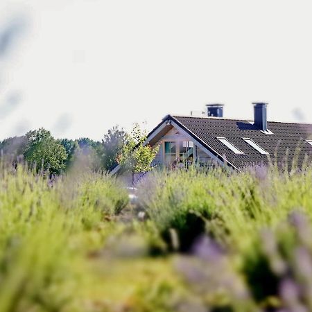 Lavender Village Kiemeliai Eksteriør billede