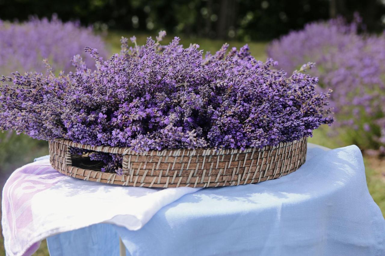 Lavender Village Kiemeliai Eksteriør billede