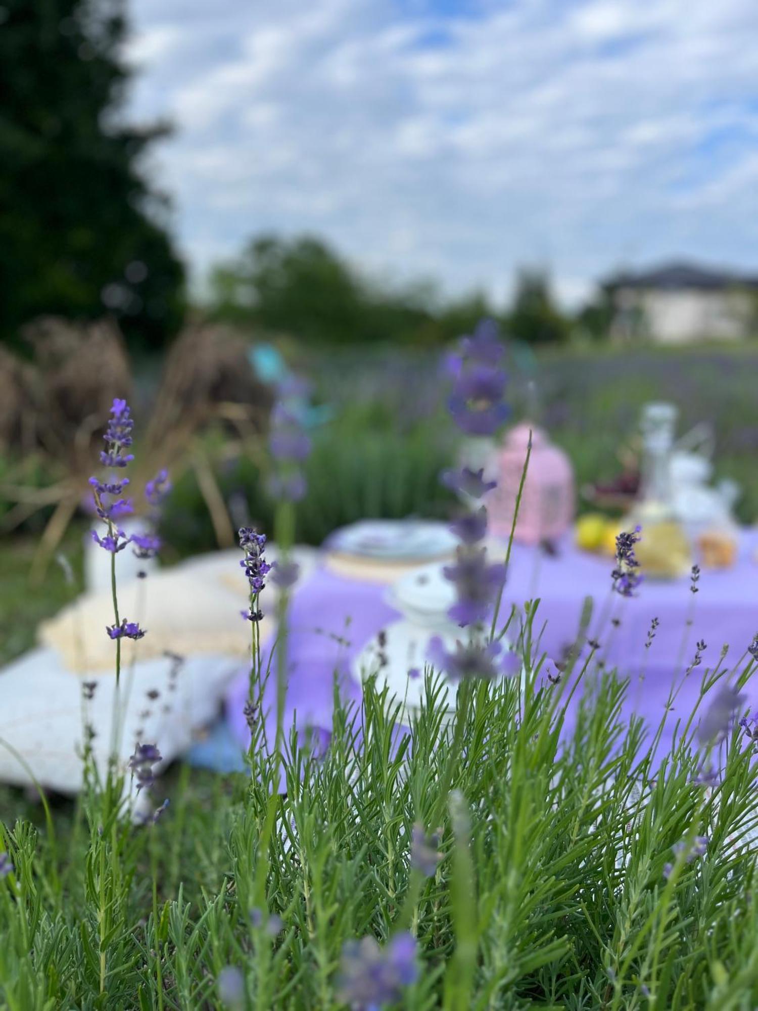 Lavender Village Kiemeliai Eksteriør billede